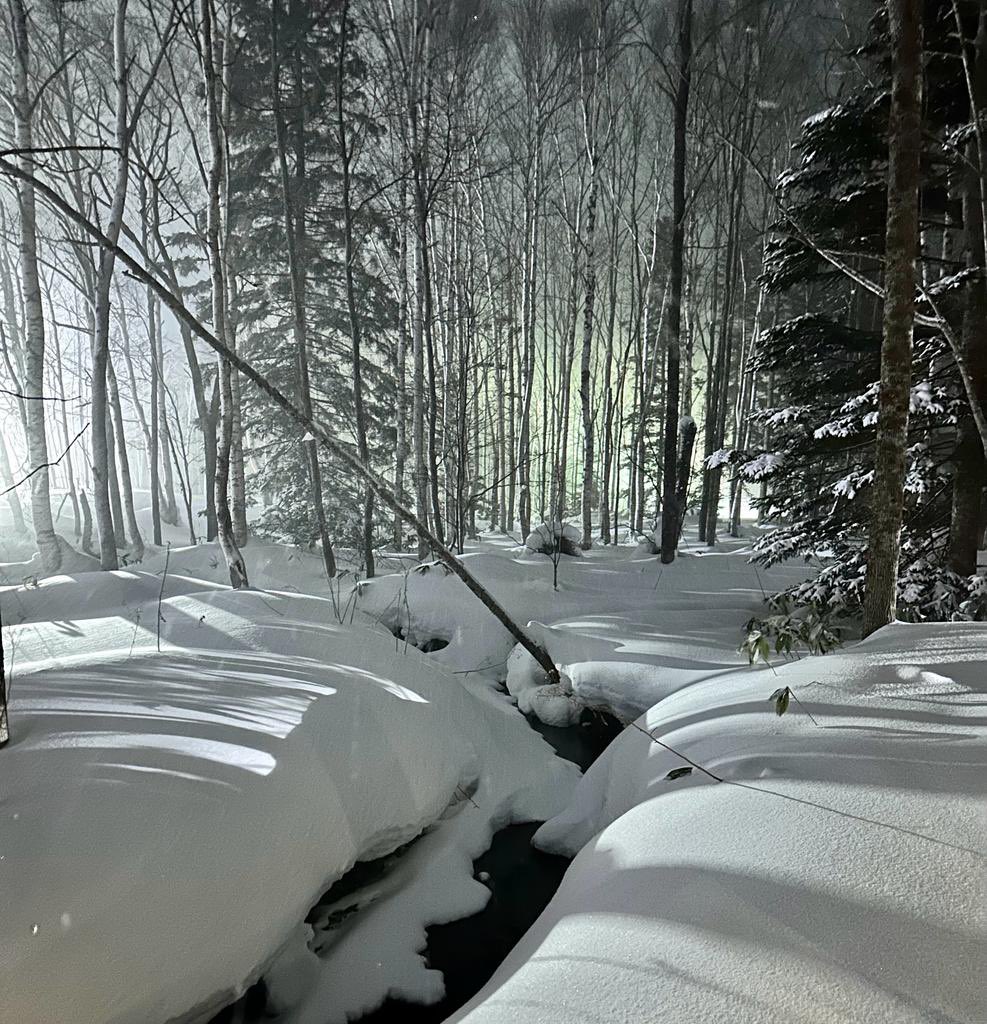 mamms02's tweet photo. @_hotham Yes @_hotham Hokkaido also dreamy….🏂❄️🌅 https://t.co/NPOVBPa3yL