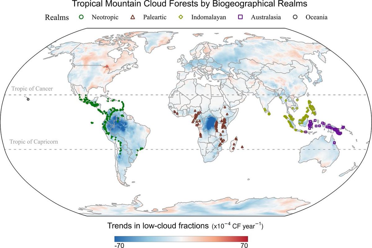 Cloud forests are losing their clouds! 

This is a  big threat - these ecosystems harbor many unique species and are key for water supply.

Great work by <a href="/AntonioGuzman06/">J. Antonio Guzmán Q.</a> et al.  Multi-decadal trends of low-clouds at the Tropical Montane Cloud Forests.