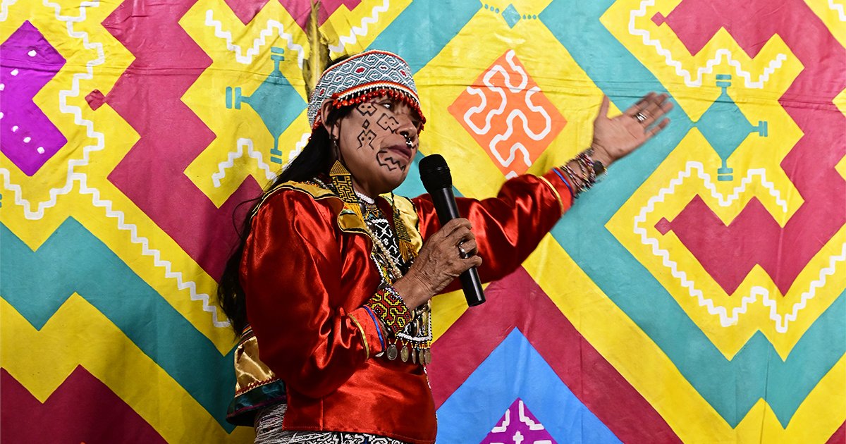 anamibanez's tweet photo. Olinda Silvano, Ronin Koshi y varios artistas amazónicos transmiten, con su poderoso arte, la urgencia de preservar este extraordinario ecosistema. La exposición "Amazonía: un Hub de BioCreatividad" está abierta al público en el Centro Cultural de
@el_BID https://t.co/QTMmZtBNRA