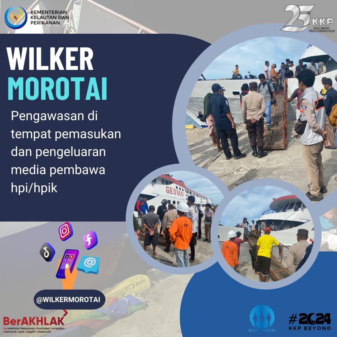 WilkerMorotai's tweet photo. Hai #SahabatBahari 25 Januari 2024 Petugas Karantina Wilker Perbatasan Morotai melakukan pengawasan di tempat pemasukan/pengeluaran media pembawa HPI/HPIK #KKPAccelerate #EkonomiBiru #KKPGOID #Morotai #KKP https://t.co/DjJpisu0T2