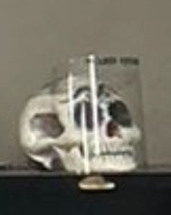 Randy Stegall tweet media