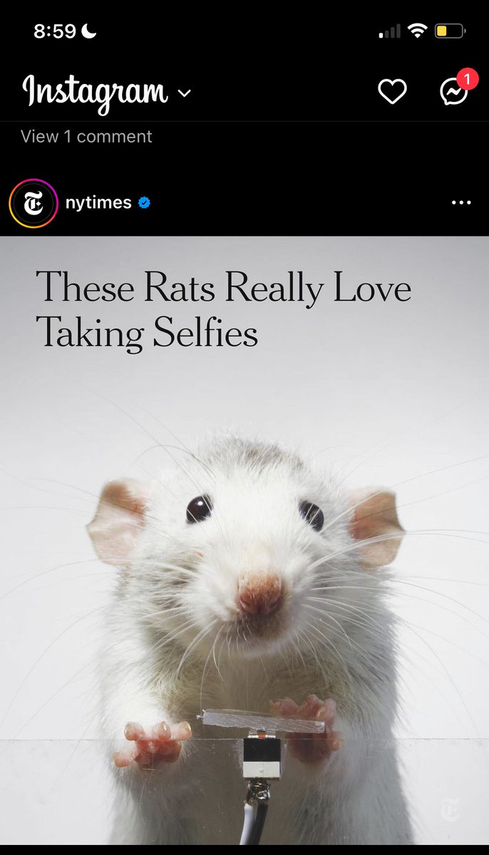 simran_patel10's tweet photo. Omg they wrote a headline about my friends and I at the club https://t.co/Qkg2WXdMva