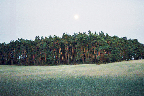 archillect's tweet image. 