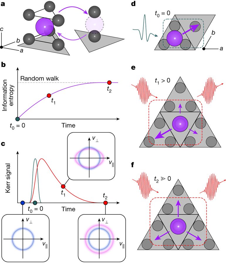 📢Happy to share our paper in @Nature: 'The persistence of memory in ionic conduction probed by nonlinear optics'. Study led by @apoletayev at @OxfordMaterials @SLAClab in collaboration with @LindenbergLab at @StanfordMSE & @jad5888 at @ChemistryNCL Link nature.com/articles/s4158…