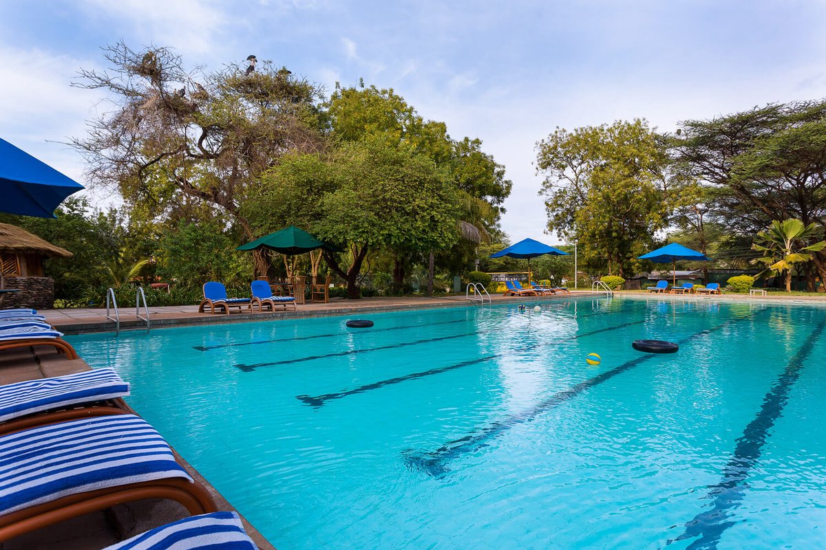 OtuSafaris's tweet photo. Always take the scenic route. 

Escape to a place of tranquility at The Lake Bogoria Resort. 

To book; 

☎️📲 Call/ Whatsapp: 0722 353 884  or 

📩 Send us an email to: enquiries@otusafaris.com 

#tembeakenya 
#explore 
#roadtrip 
#bucketlist 
#wanderlust https://t.co/d9VJMO6Xei