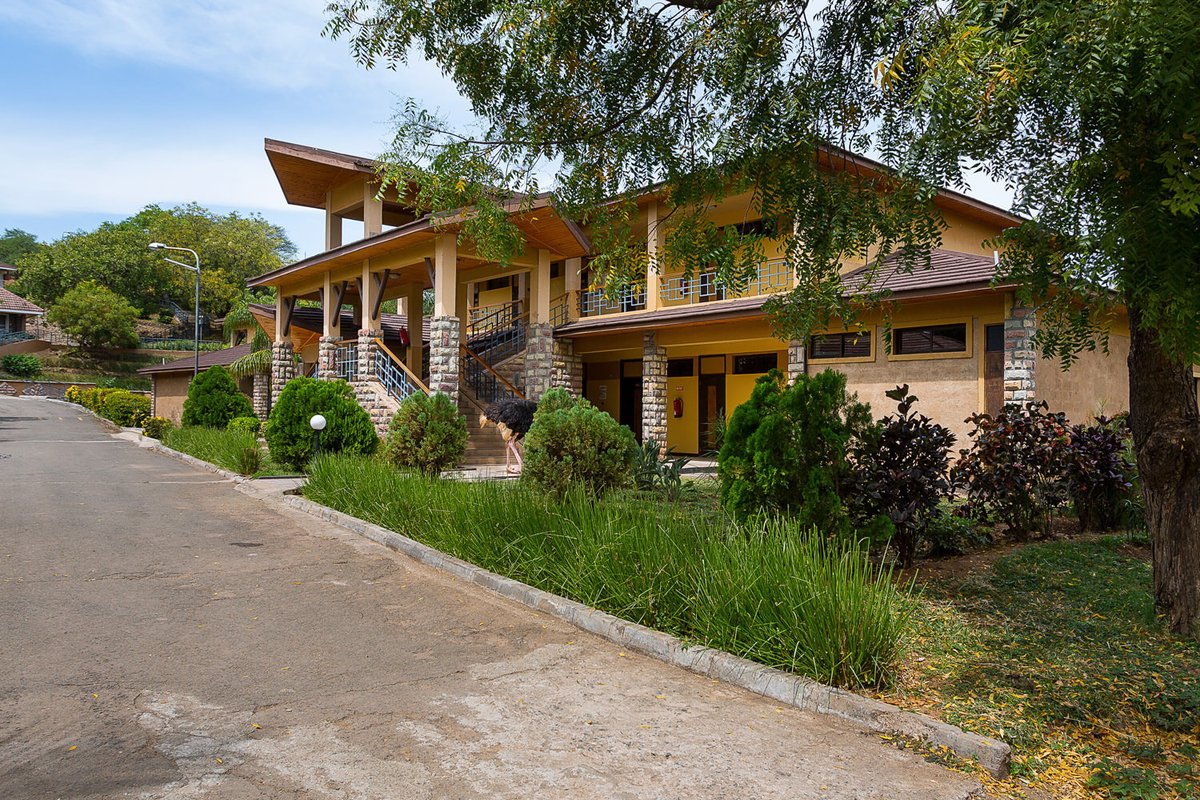 OtuSafaris's tweet photo. Always take the scenic route. 

Escape to a place of tranquility at The Lake Bogoria Resort. 

To book; 

☎️📲 Call/ Whatsapp: 0722 353 884  or 

📩 Send us an email to: enquiries@otusafaris.com 

#tembeakenya 
#explore 
#roadtrip 
#bucketlist 
#wanderlust https://t.co/d9VJMO6Xei