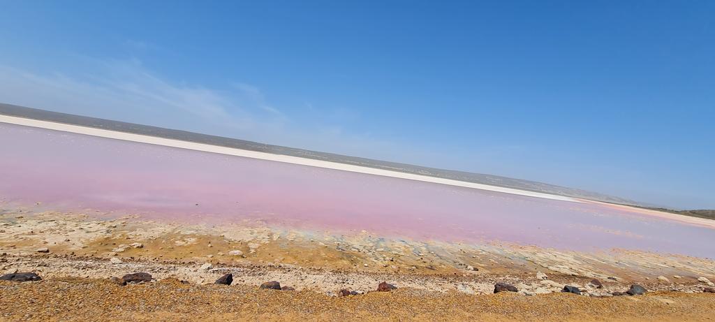 marian_dantas's tweet photo. @MaAn_Muse @nidhimehta06 @KavitaRSingh2 @_Bawwse Hello from Pink Lake my darlings
Solo driving trip
Off the grid
I have a funked name
#AnDee
Very Fun
No blessed SH anywhere 🤣🤣🤣 https://t.co/PTdiX5rxYG