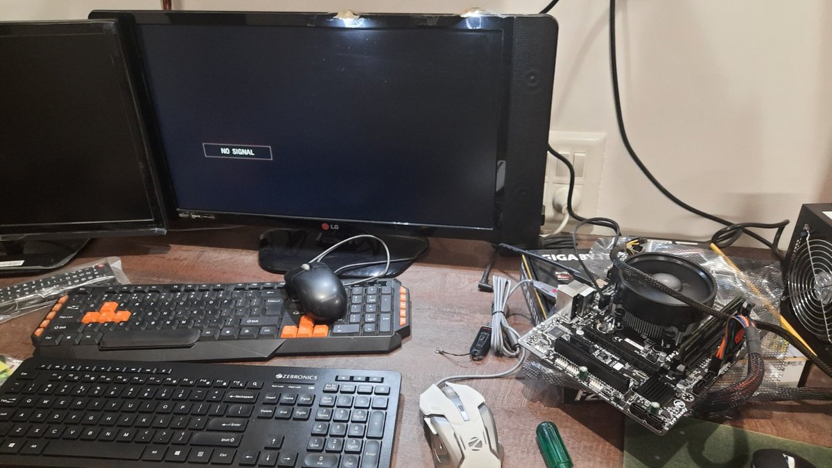 Sire Zen tweet media