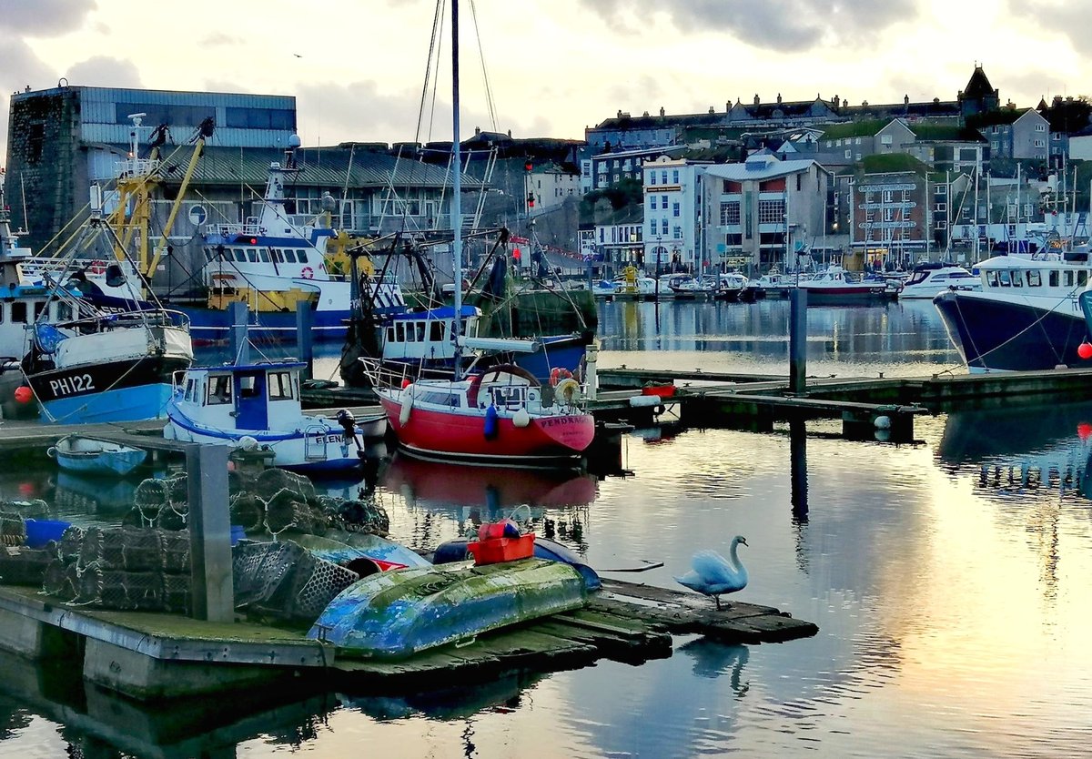 Throwback Thursday January 2020 #ThrowbackThursday #TheBarbican #Plymouth #swan 🦢