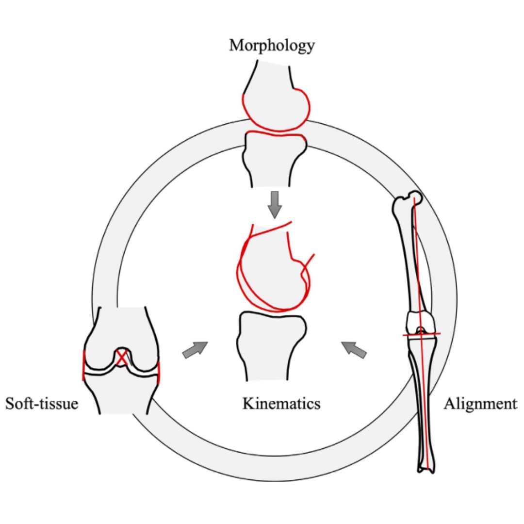 Bone & Joint Open tweet media