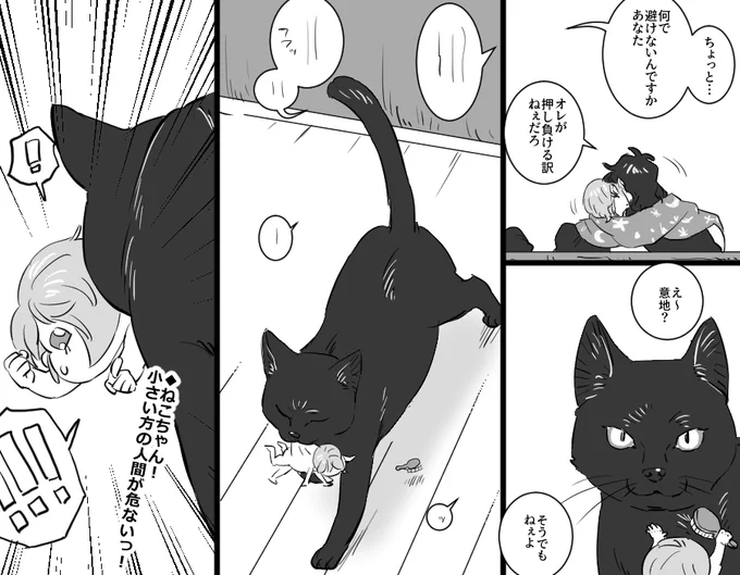 猫たちとクレイジーカリーフェアリー