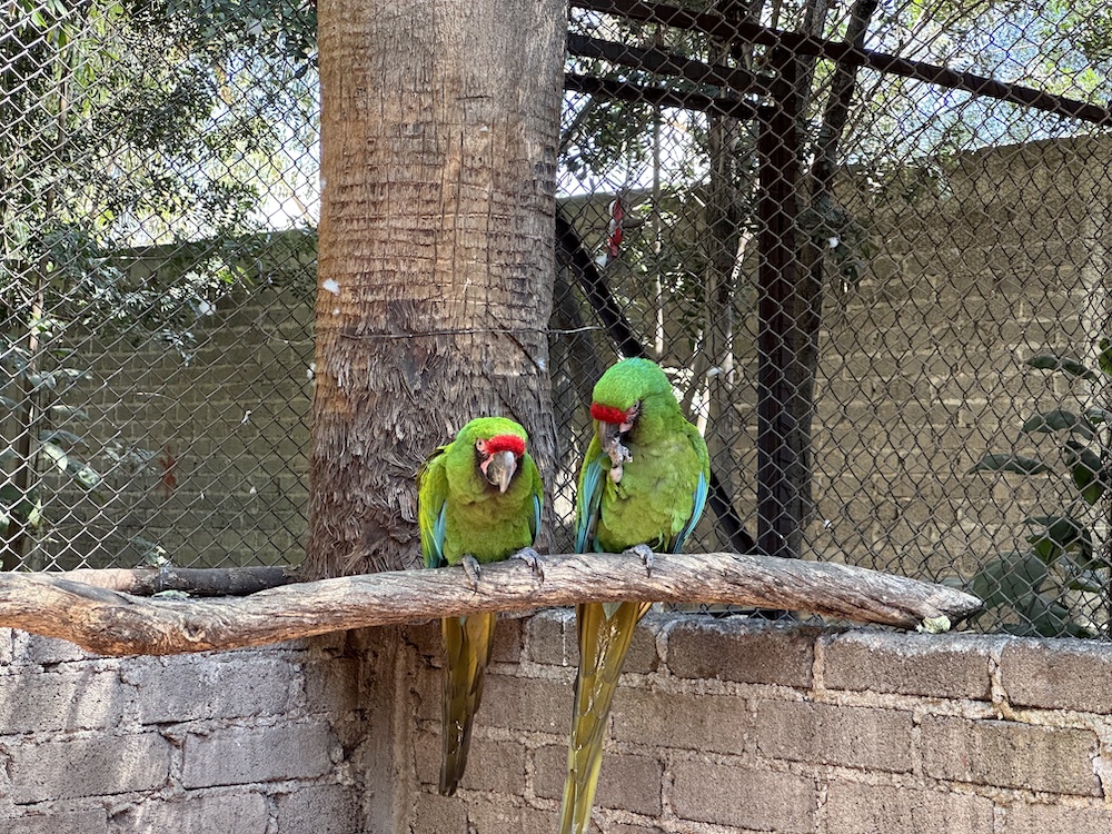 Santuario El Nido (@santuarioelnido) / X