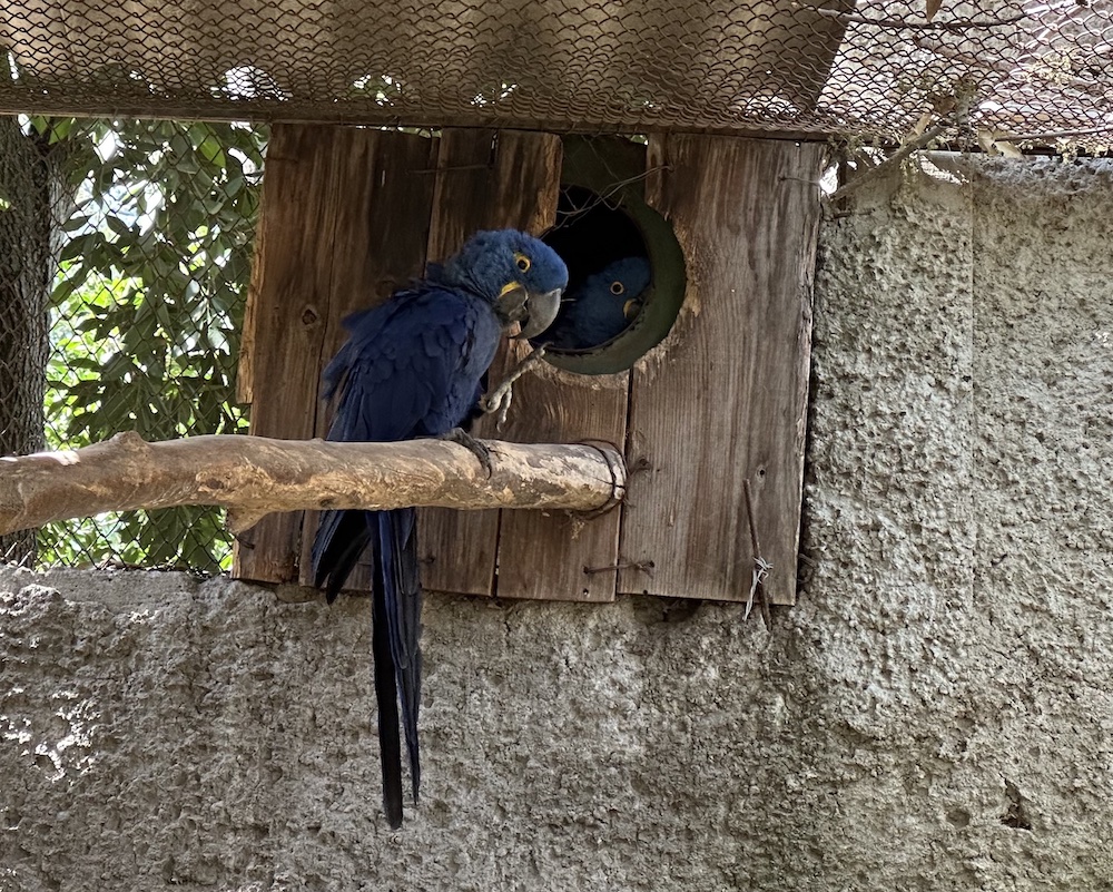 Santuario El Nido (@santuarioelnido) / X