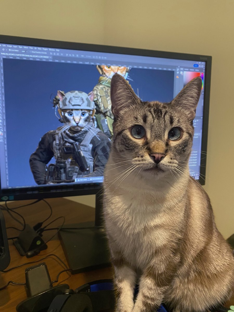 JoshwoocoolX2's tweet image. great mw2 bundle and the cat it's based on