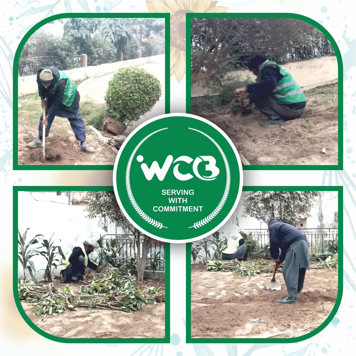 wcboffical's tweet photo. Discover the Inner Workings of Our Daily Gardening Activities. 🌱🌼 Our everyday schedules revolve around planting, tending to, and upkeeping lively green landscapes that bring vibrancy to our surroundings. #CBCARE https://t.co/Kve4lx88YC