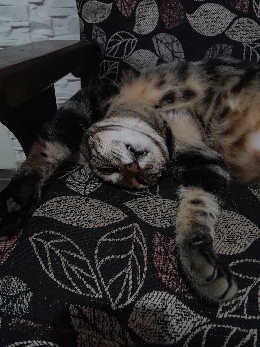 Cosita más linda que esta? 😍🤍