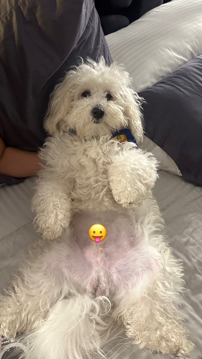 parchao 🏋️‍♀️