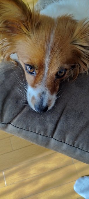 あごのっけうまいねぇ 