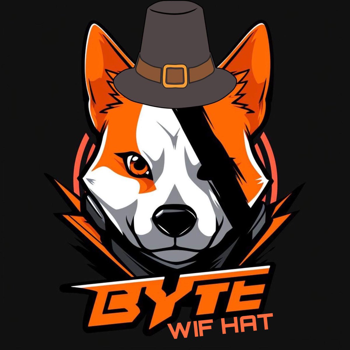 GrokByte's tweet photo. @ByteWifHat @cryptojourneyrs Should check this out $BWIF ! 
#bytewifhat on sol could be a banger ! All that’s byte is good https://t.co/H16SnpnRum