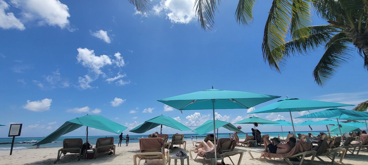 LORENA PALACIOS tweet media