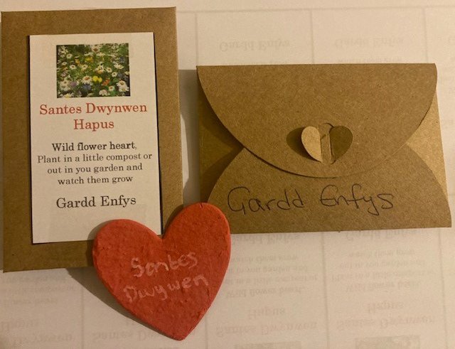 Dydd Santes Dwynwen Hapus - in Wales the 25th of January is the our Welsh Valentines day. to celebrate Dydd Santes Dwynwen Gardd Enfys is distributing wild flower hearts to our local school.  #santesdwynwen <a href="/cavoceredigion/">CAVO Ceredigion</a> <a href="/edencommunities/">Eden Project Communities - #TheBigLunch 🎉</a> @ysgolgynraddllechryd