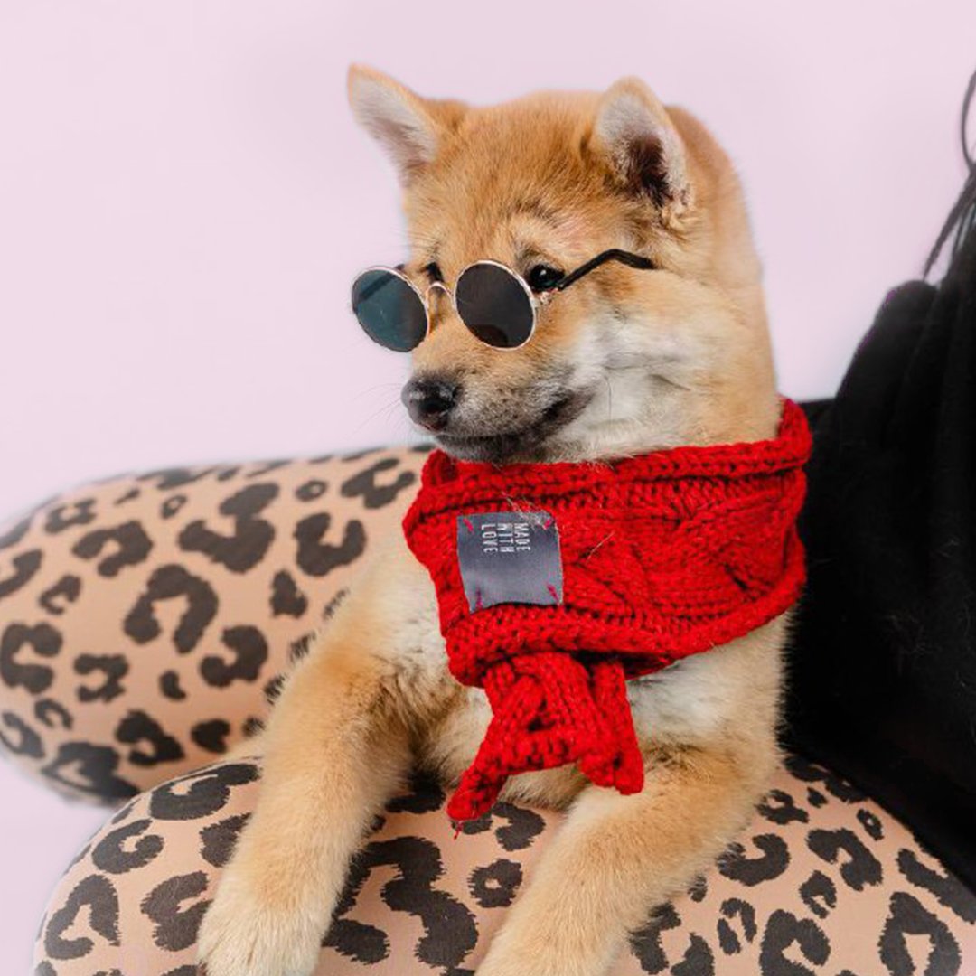 🐾🐶 Discover Your Furry Companion at Forever Love Puppies! 🏡❤️

Visit Our Website: 954puppies.com

Permit Number U19-217351  HA:)

#PuppiesForSaleInMiami #PuppiesToBuyInMiami #Puppies #BabyDogsInMiami #MiamiPups