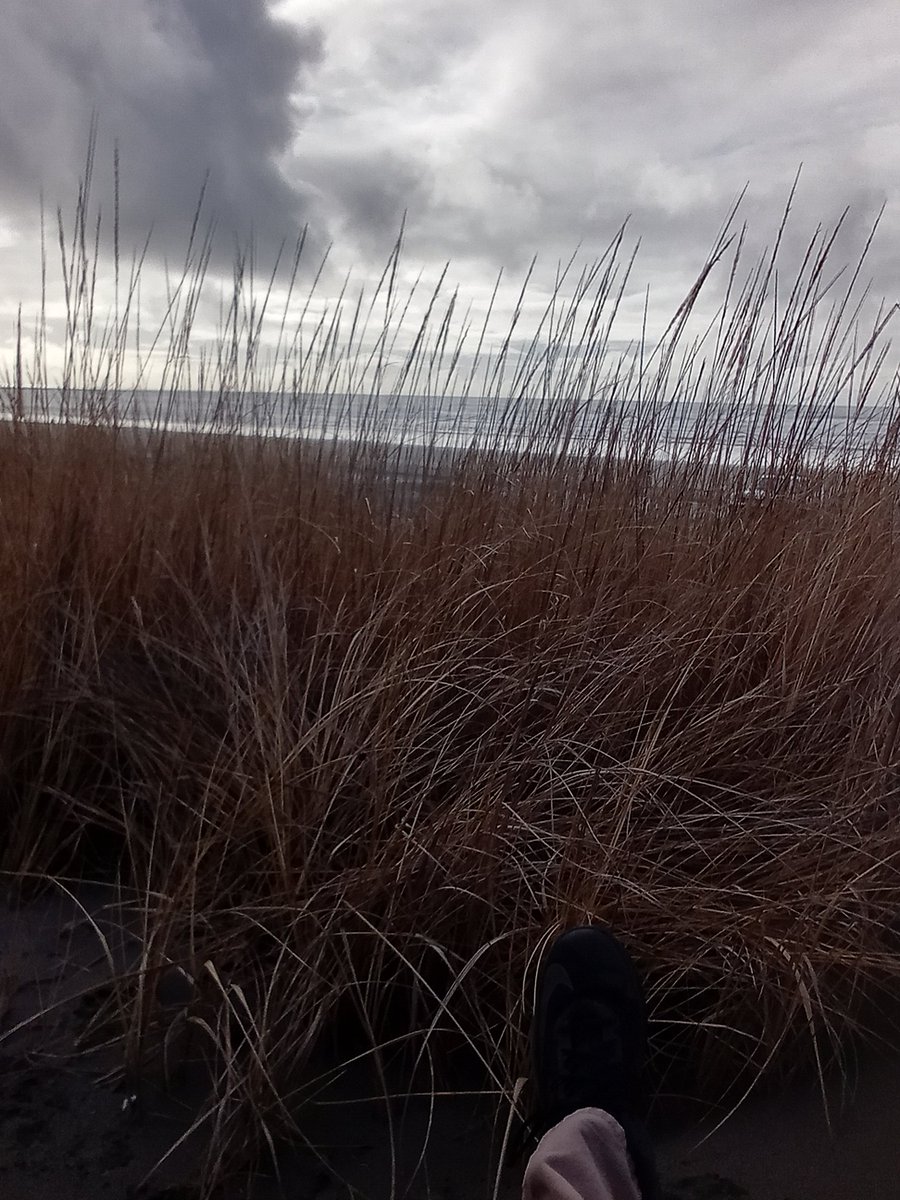 DBolt20's tweet photo. Finished the gig an found our spot and enjoyed it while the sky was dry.  #brokenlens
#Rotweiler #Longbeach #sheetrock https://t.co/Tc9449NKla