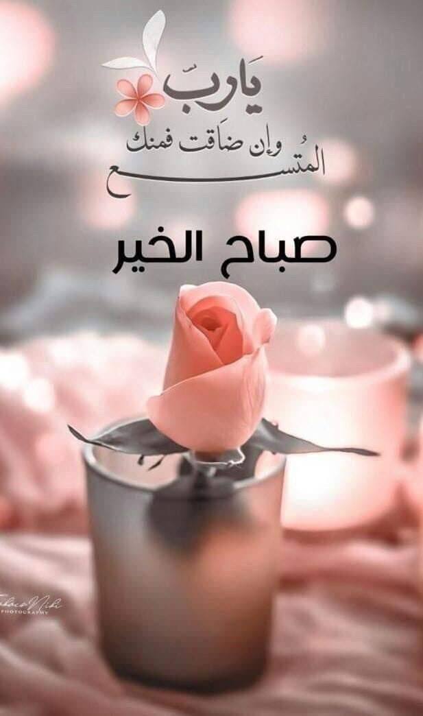 سلمان عايض الحارثي (@abo_reetal2020) on Twitter photo 