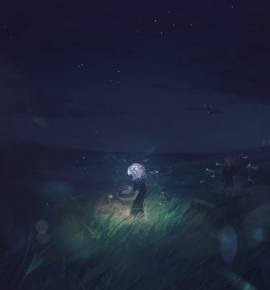 #housekinokuni_fanart #宝石の国 

episode 3