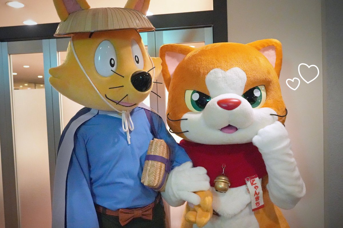 にゃん吉【公式】Nyankichi on X