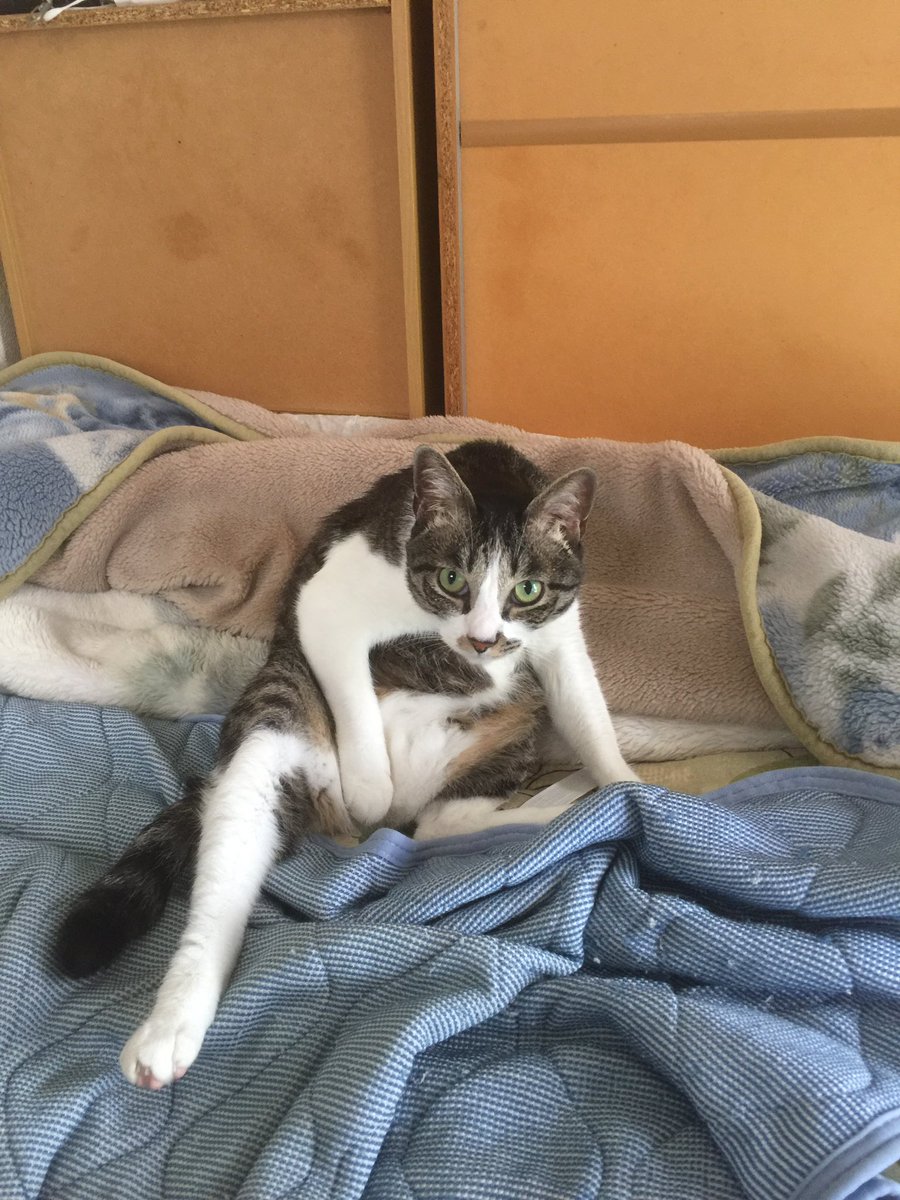 mrnjreczde's tweet photo. 助けて美樹一瞬でも逢いたい… https://t.co/ypIYuwRW4z
