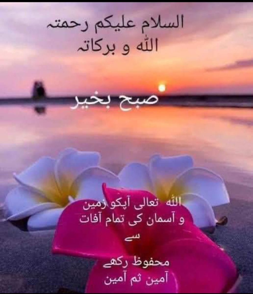 Sultan Mehmood tweet media