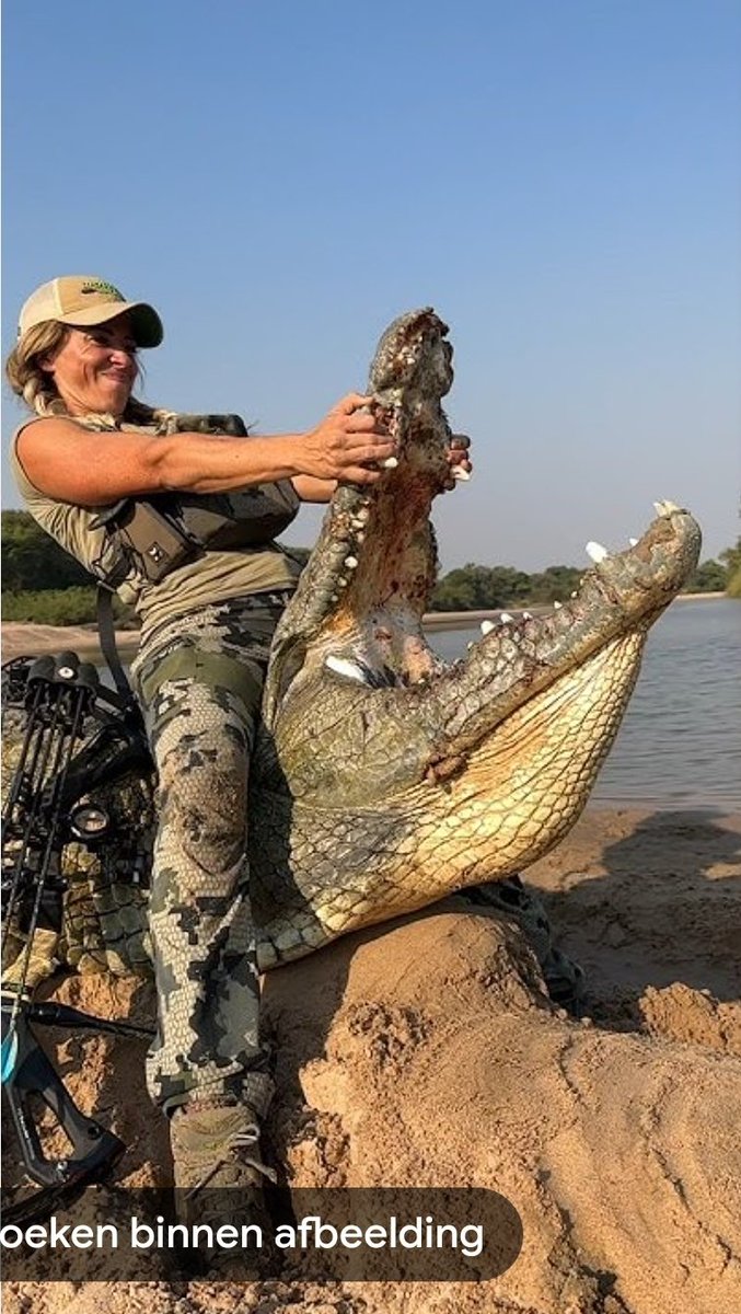 CWitvrouwen's tweet image. BREAKING 

Poll commissioned by FACE, DSC, Conservation Force, Safari Club International:  Europe approves of hunting within local legislation