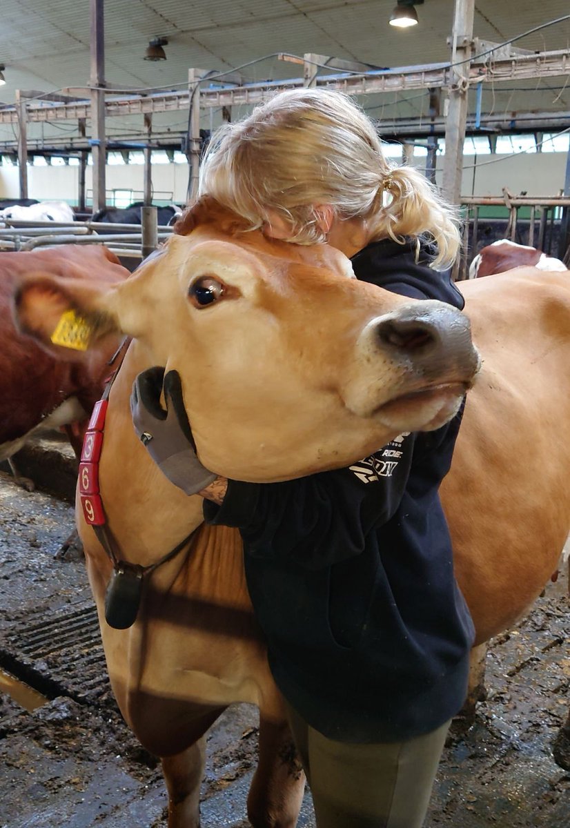 Vill du göra kaffet mer klimatsmart ta mjölk i , svensk mjölk såklart. Vi behöver fler gårdar med mjölkkor. Mjölkkor är klimatsmartare än rena köttdjur. Mjölkkor ger även de betesdjur. #klimatsmart