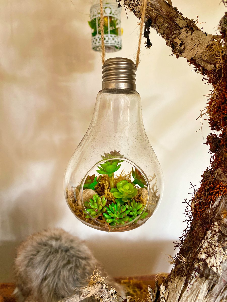 shopled2010's tweet photo. Whether you're growing herbs, succulents, or tropical plants, we've got the right light for you. Say goodbye to wilted leaves and hello to lush, vibrant greenery with our top-quality plant lights.🍀

#plant #light #tube #shop #store #BrightLights #LightUpYourLife #EnergySaving https://t.co/kuGsdsUkl4
