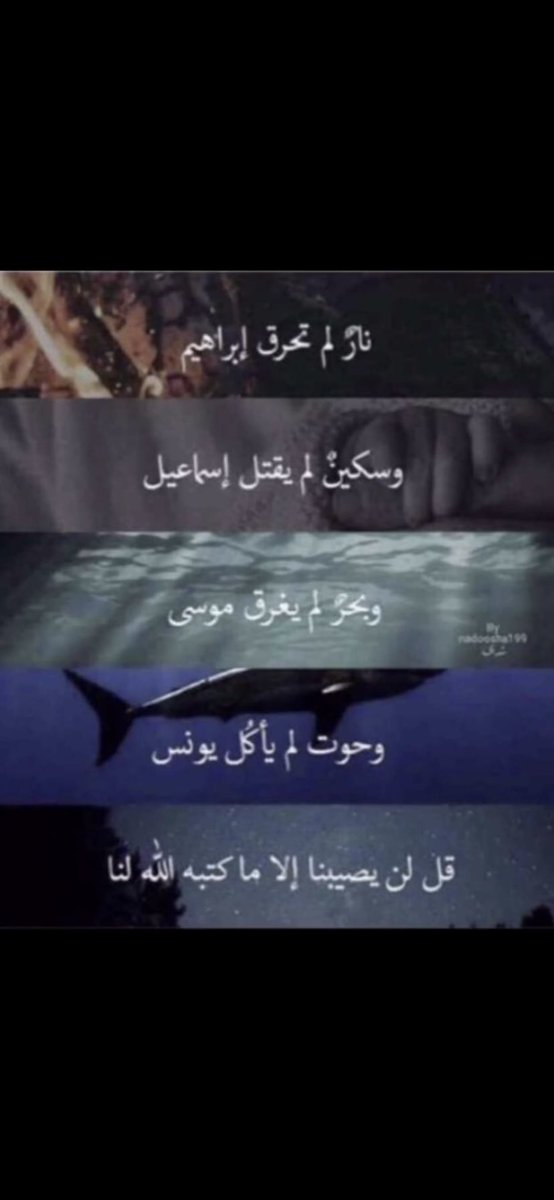 مشعل العنزي (@ms3l200) on Twitter photo 