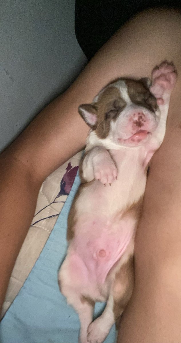 Me dio lo mas lindo del mundo mi novio 🥹