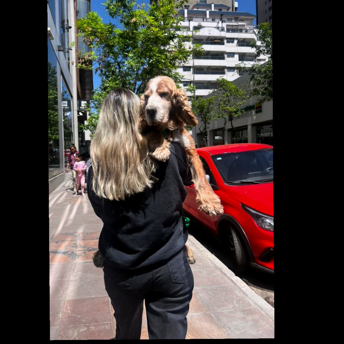 VicoLarroude's tweet image. #NuevaFotoDePerfil