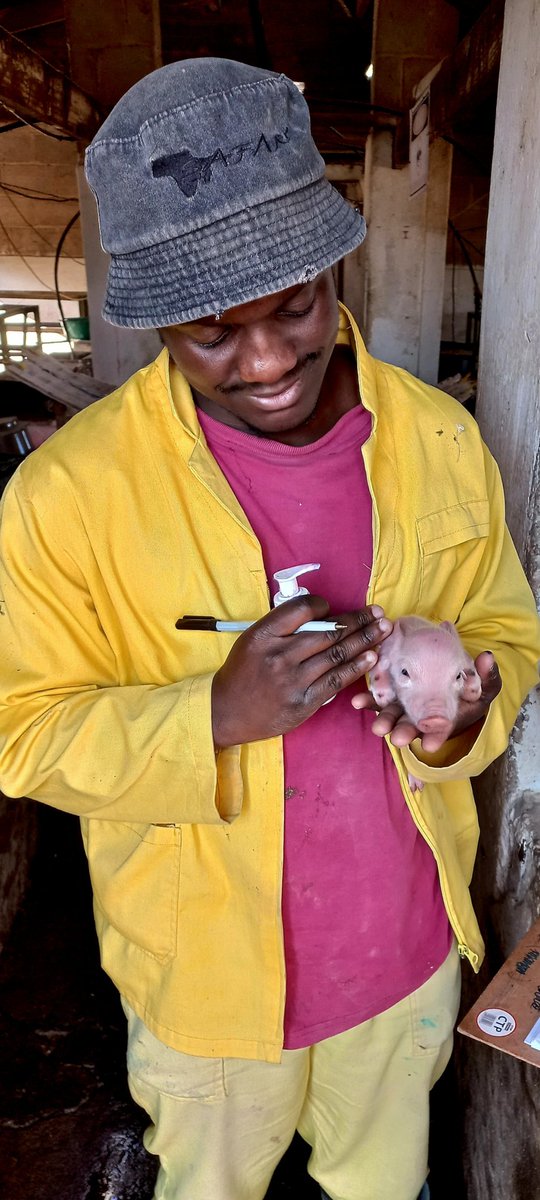 Peter Mukunza tweet media