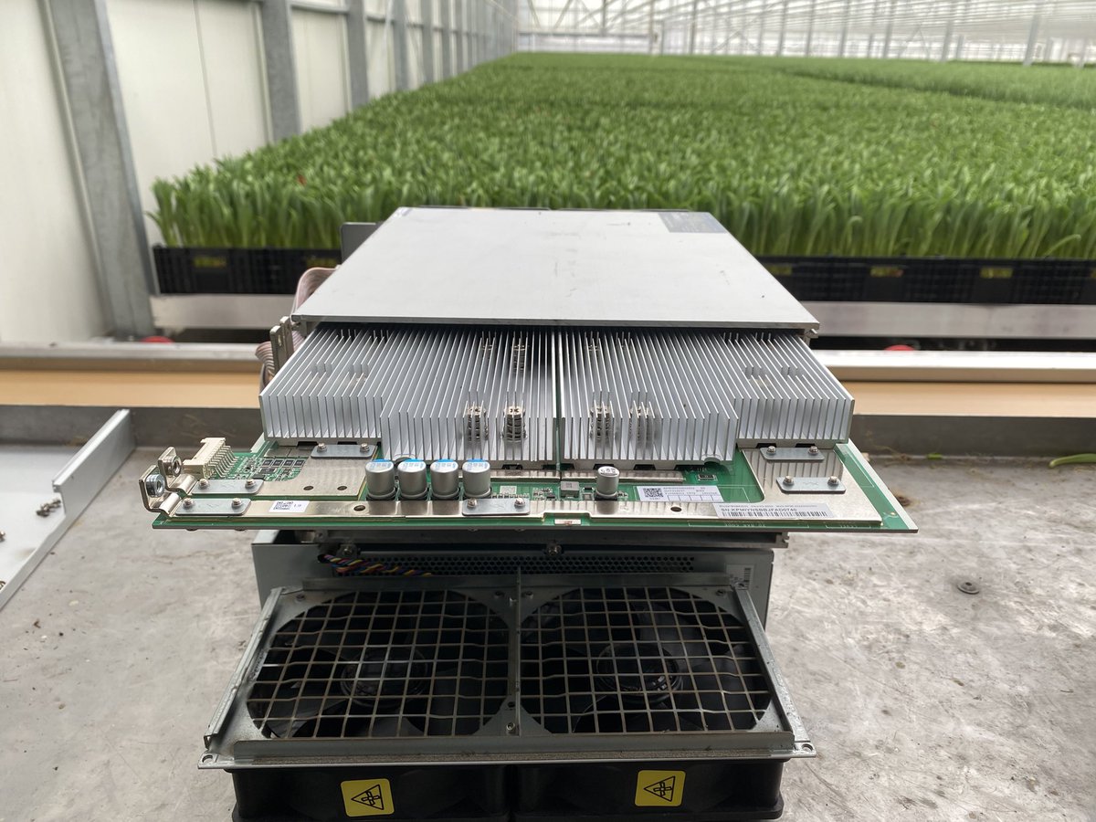 BloemBitcoin's tweet photo. We’ve been silent for quite a while, we will incorporate some bitcoin grown tulips for 8th place. Yesterday we did our maintenance, for the people wondering if we are still live. Yes we are and this year more than 30 million tulips will be produced again. https://t.co/s9madAEPSp https://t.co/AymXUhbj2w