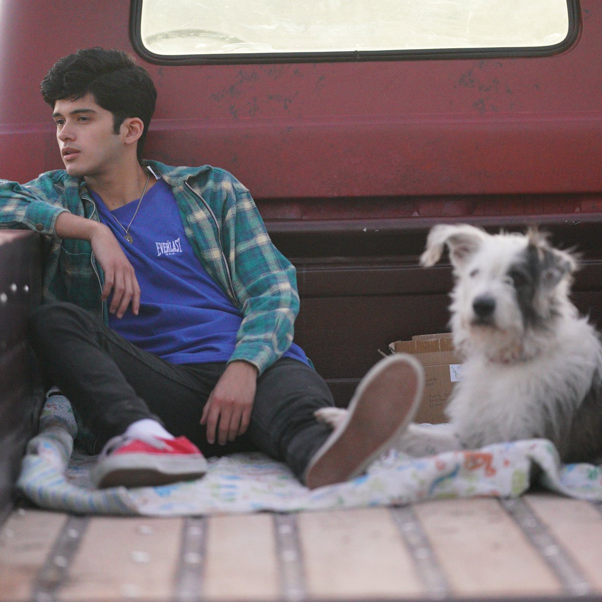 ON THIS SAT, #Melbourne! 🤸🌈 The Victorian premiere of festival darling ARISTOTLE AND DANTE DISCOVER THE SECRETS OF THE UNIVERSE is happening this Saturday as part of the @melbqueerfilmfest & @midsummafestival

#LGBTQI #midsumma #MQFF