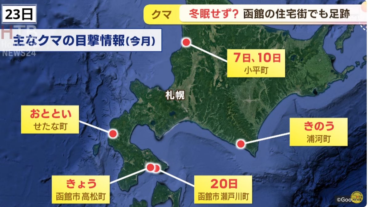 tretre_'s tweet image. 하코다테는 시내에도 곰이 ..