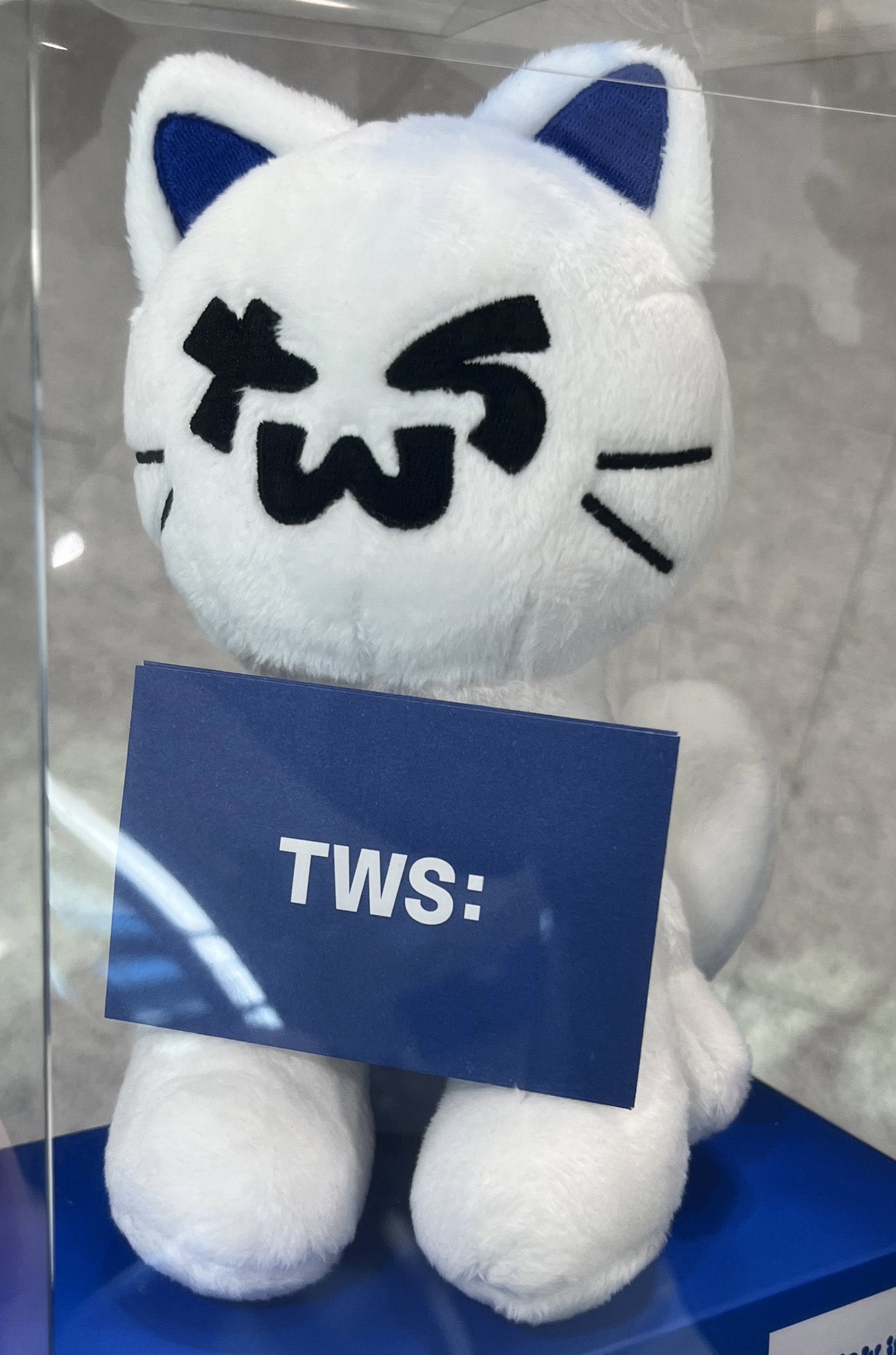 公式 TWS SUMMER BEAT マスコット ぬいぐるみ ゴースト 猫 TWS 公式 ぬいぐるみ トゥニャンイ トゥリョンイ 猫 ゴースト