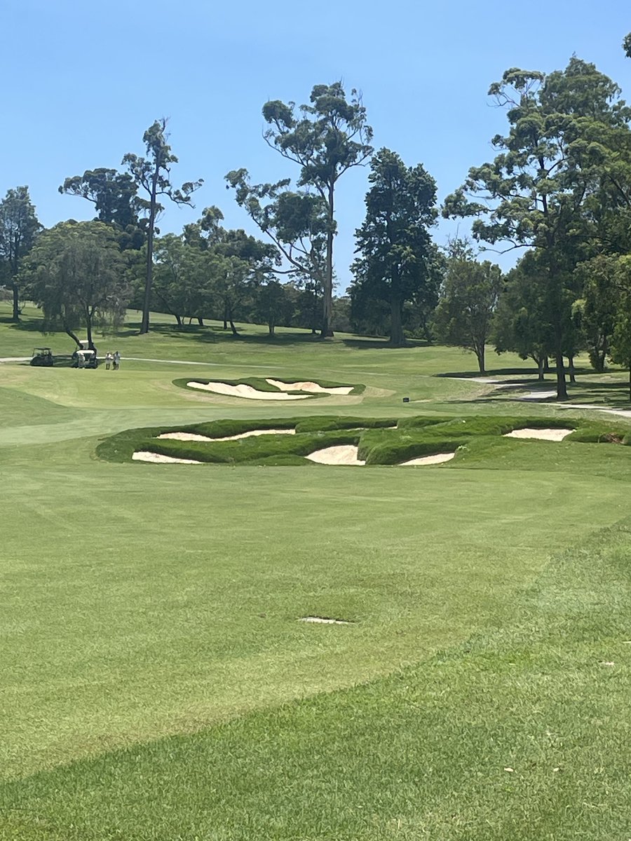 Loving the “Pop” of our zoysia bunker lips 😎😎#@Golf_by_Design_    #@Golf_Spectrum #@GlobalTurf3    <a href="/TheASTMA/">ASTMA</a>