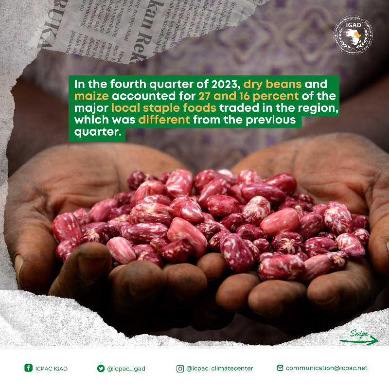 IGAD_CPAC's tweet photo. 🌽🐐 The #FSNWG cross-border trade update on #food commodities and #livestock traded across #EastAfrica in the fourth quarter of 2023 (October-to-December), and projections for 2024 is out!
Read more ➡️ https://t.co/m5kuYsiZcT
