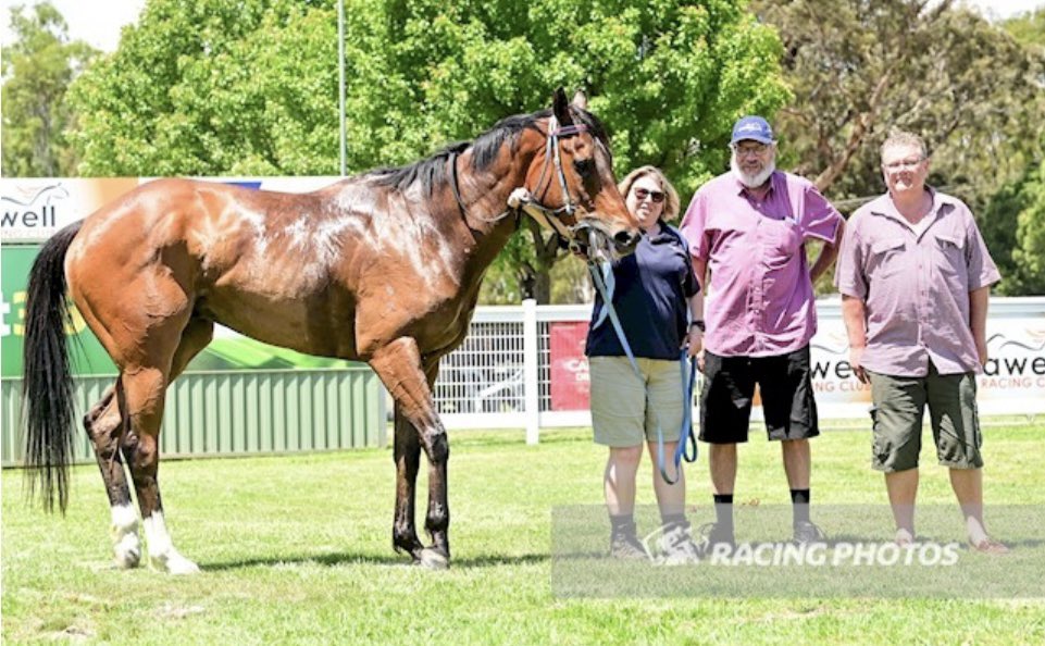Good luck to our friend and long-time client <a href="/pedleyalan/">Alan</a> who has his 300th runner with Feargal in race 2 at <a href="/TheValley/">Moonee Valley Racing Club</a> on Saturday! Full story on our website janebakerracing.com.au/news/archive/5…