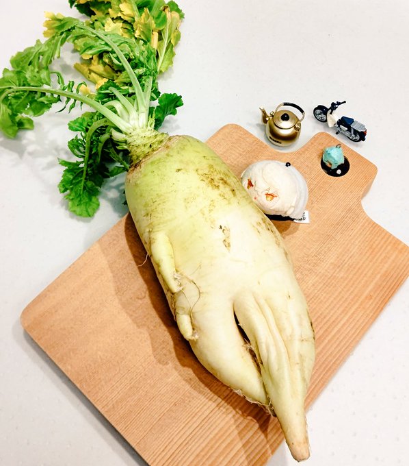 「野菜」のTwitter画像/イラスト(新着｜RT&Fav:50)｜3ページ目