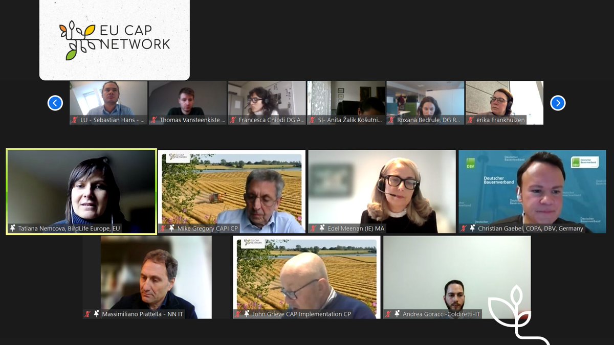 eucapnetwork's tweet photo. 👩💻Today's panel discussion: Tips for effective #MonitoringCommittees operations!
Panelists are sharing insights on:
👉Improving MC operations
👉Enhancing partner involvement
👉Overcoming challenges
👉Identifying missing pieces in the Code of Conduct
Stay tuned for results ⌛ https://t.co/o5H0dwpo4E