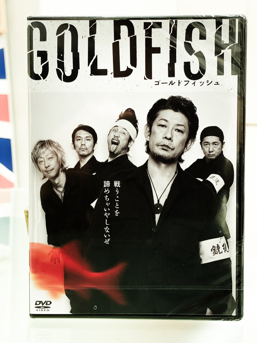本日発売開始です！

from M.Nagase

#GOLDFISH #DVD