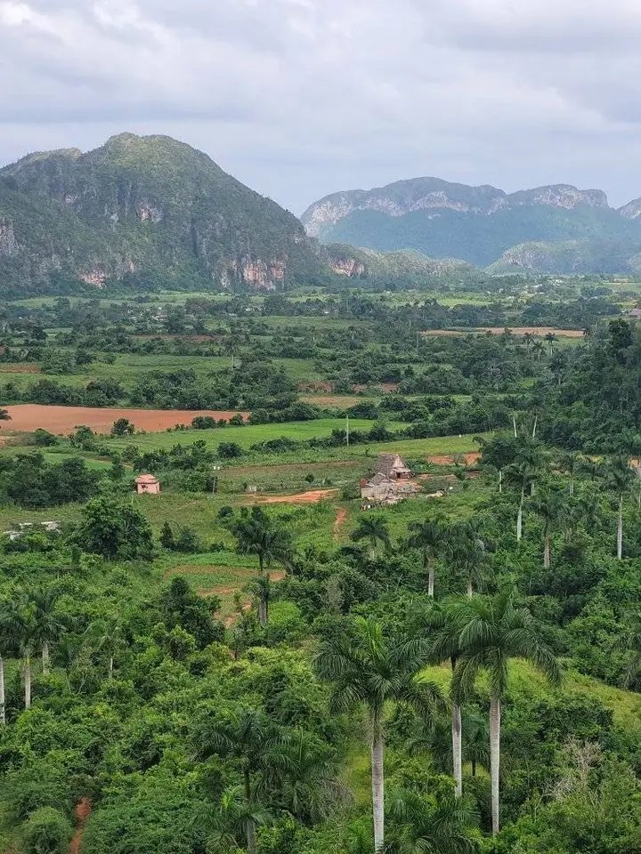 Buenos días a todos.
El mundo está lleno de buenas personas. Si no las encuentras, sé una de ellas.